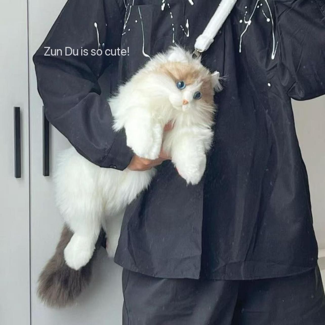 Fluffy Cat Bag - Gray